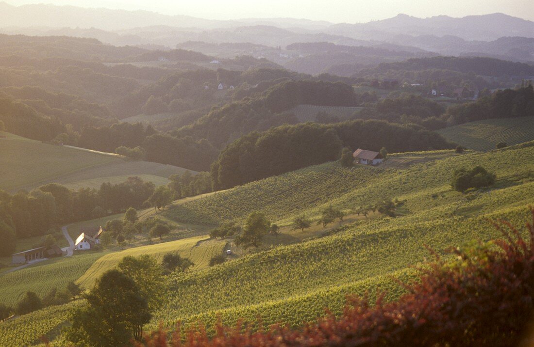 South Styrian Wine Route, Styria, Austria
