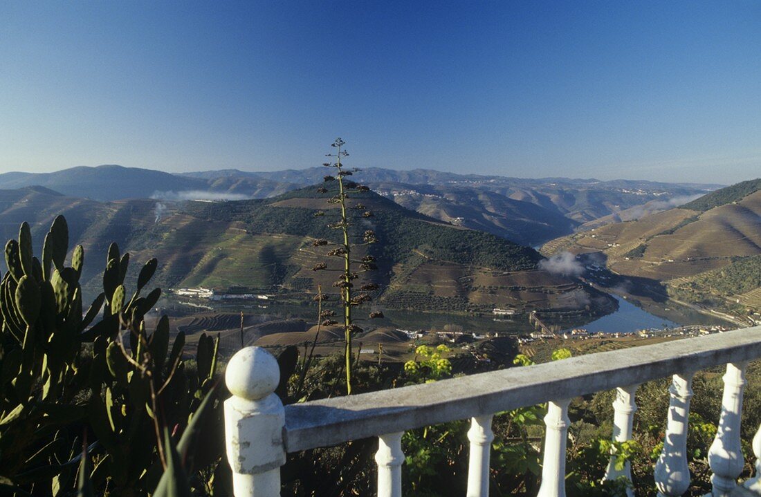 Mirador, view of Pinhao & the Douro Valley, Porto, Portugal