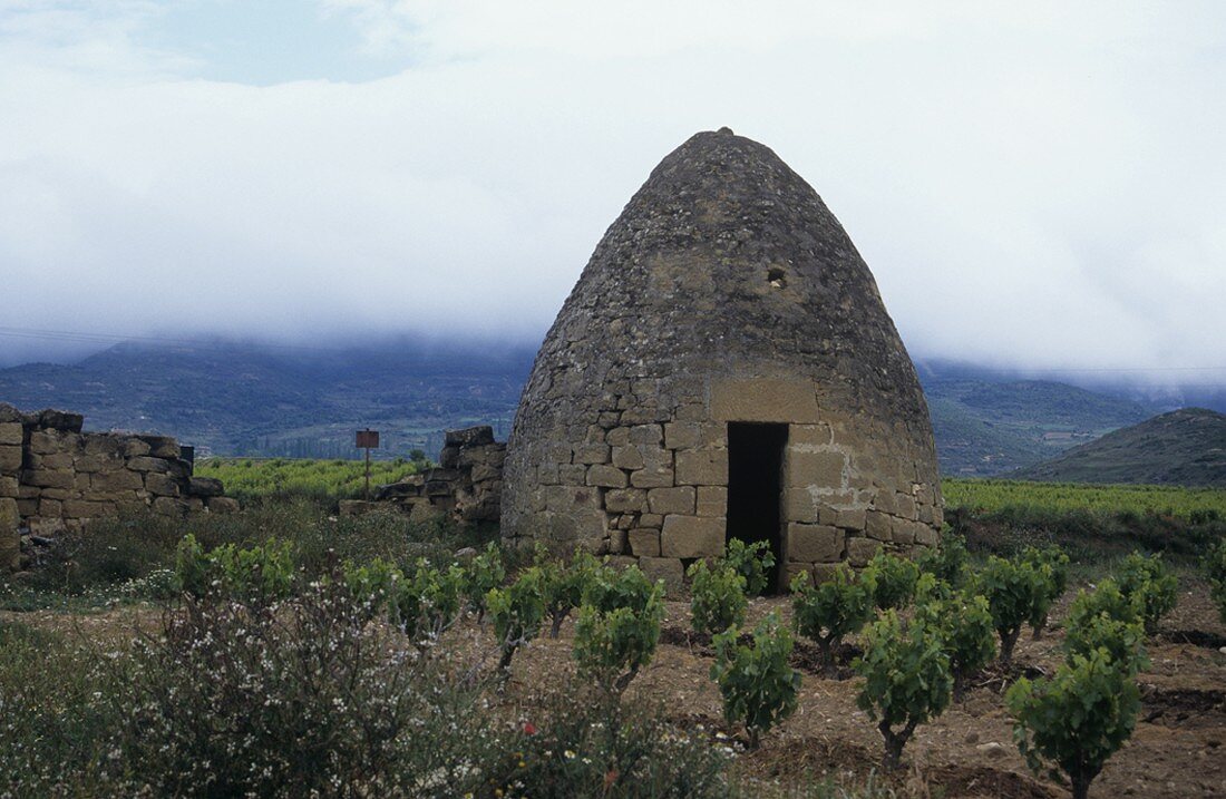 Ein Guardaviñas in den Reben des Rioja Alavesa, Spanien