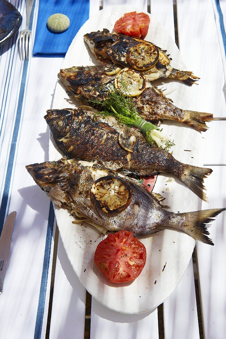 Grilled bass with lemons and tomatoes
