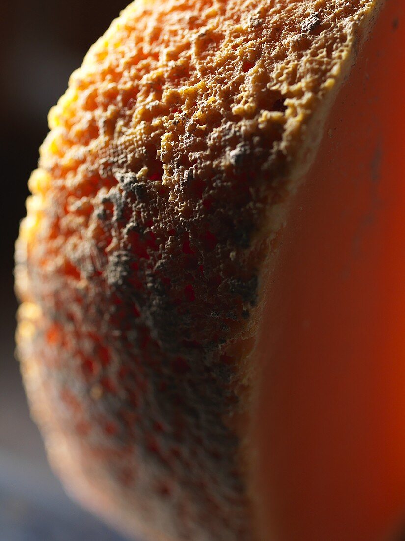 Mimolette (hardchese from France), close-up
