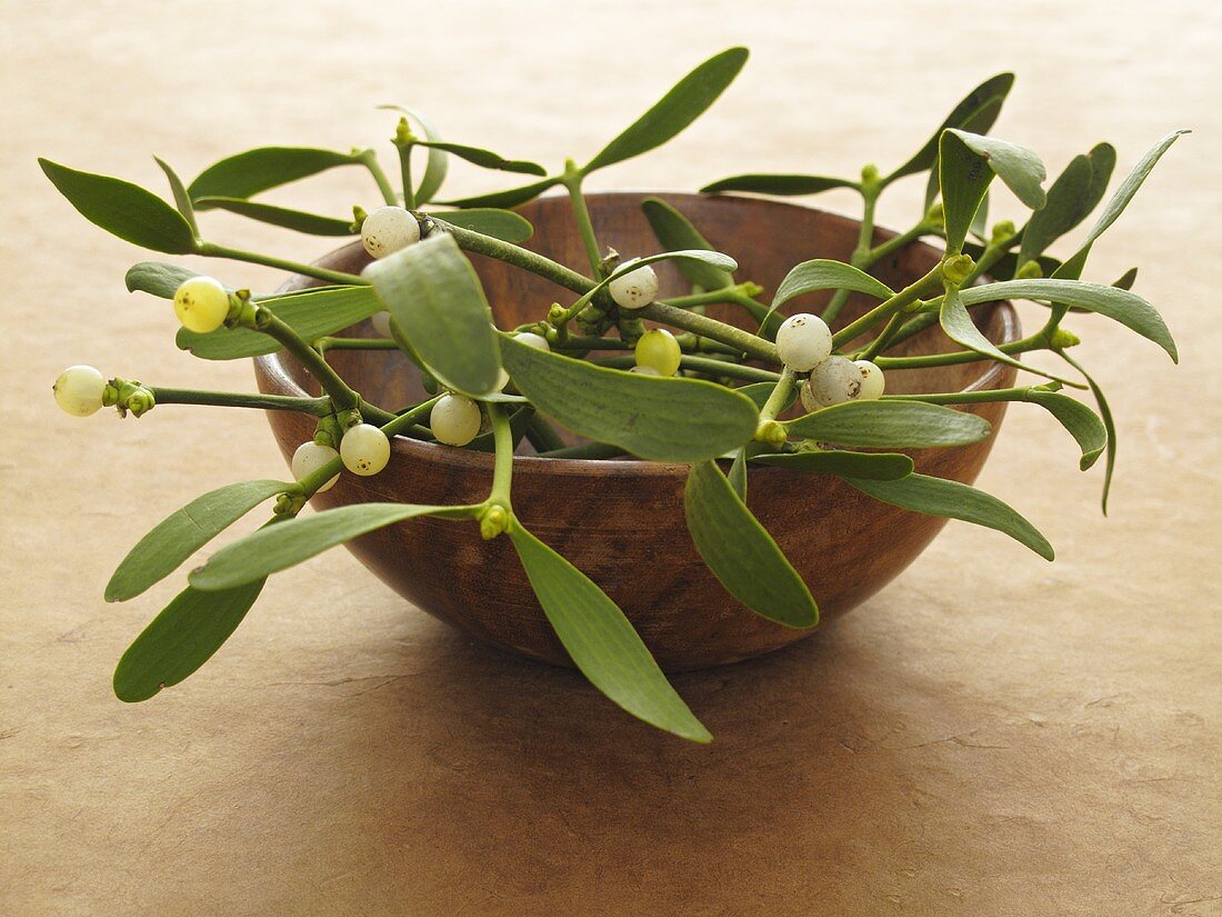 Sprigs of mistletoe in a wooden bowl