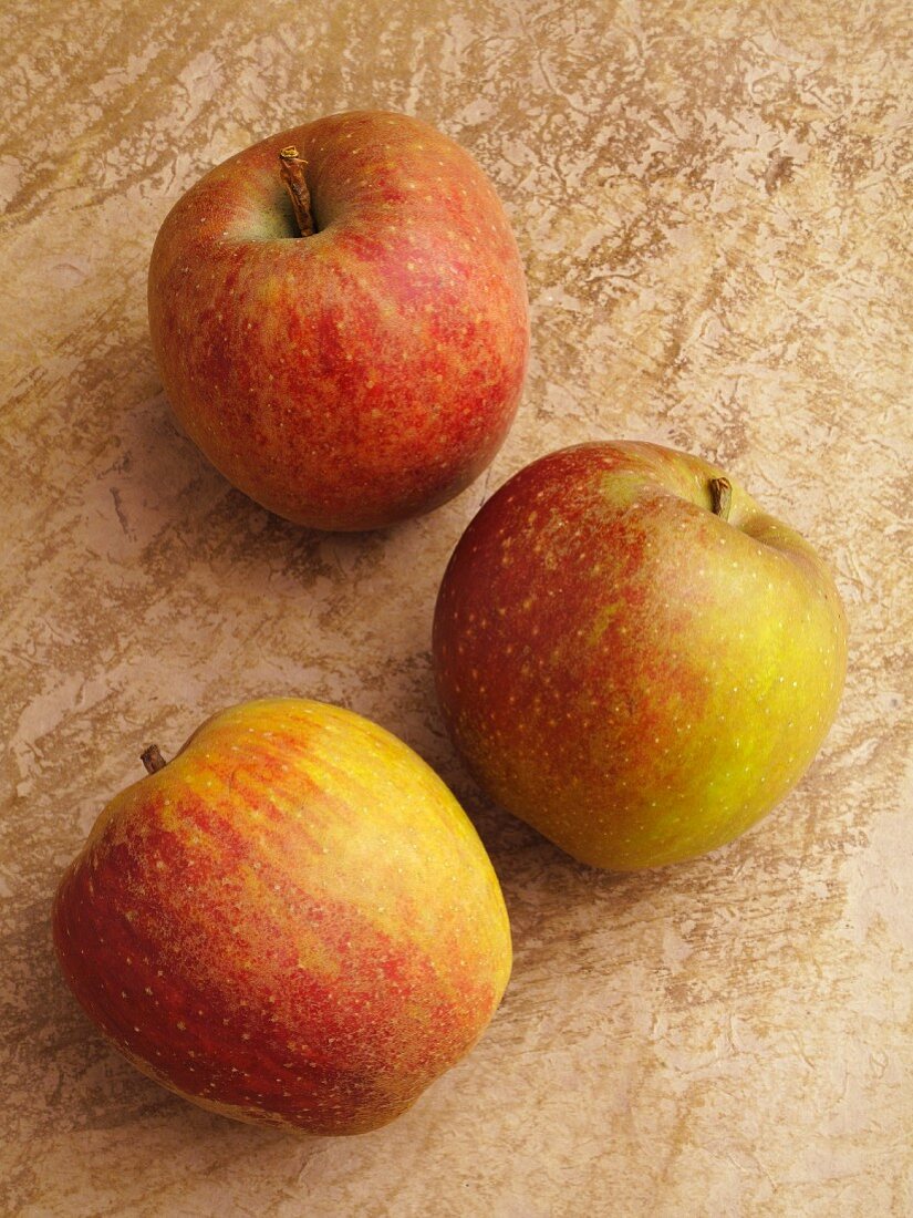 Three Boskop apples