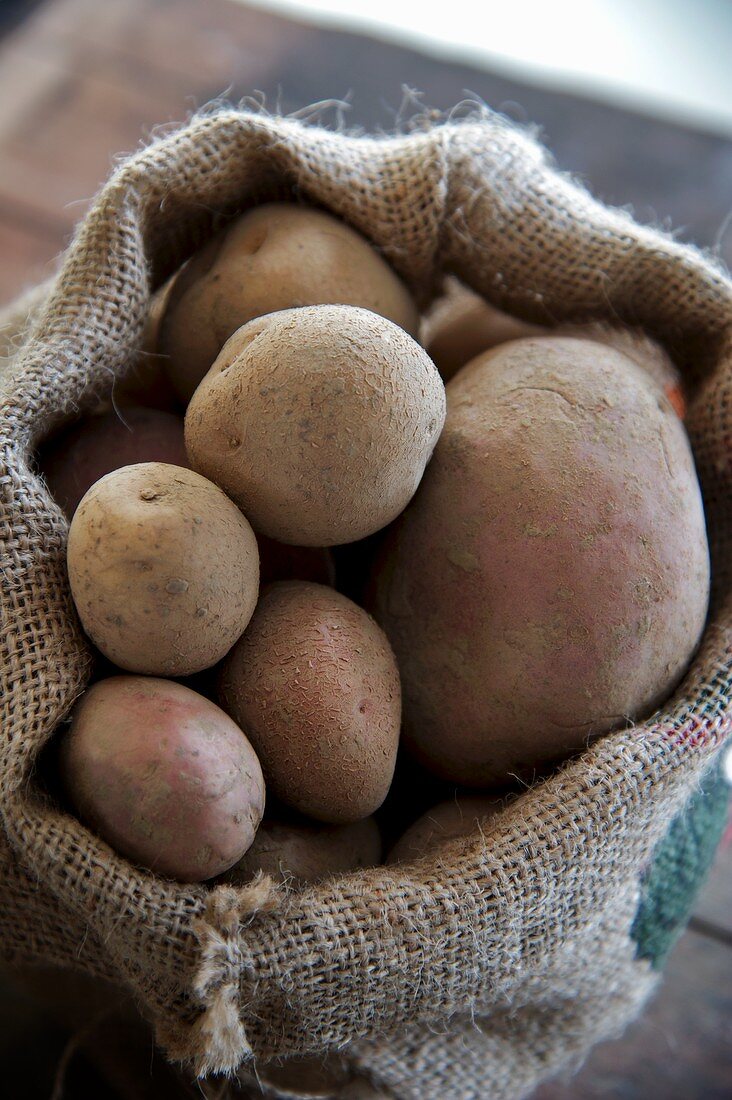 Kartoffeln in einem Sack