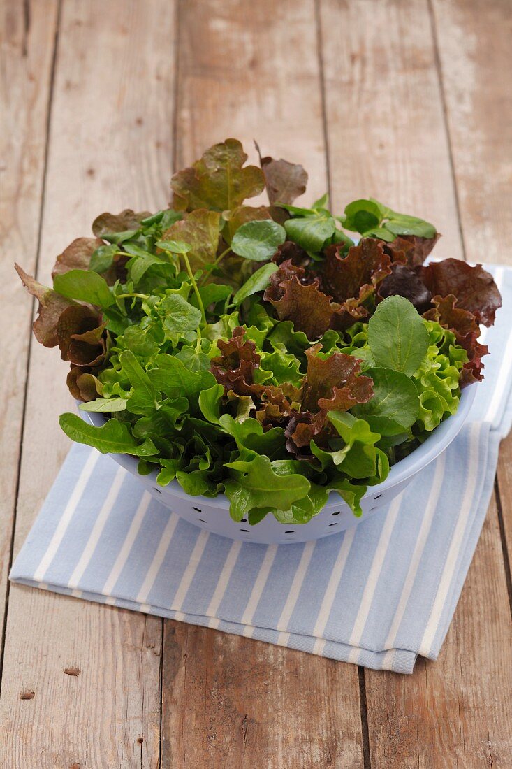Various types of lettuce in a plastic sieve