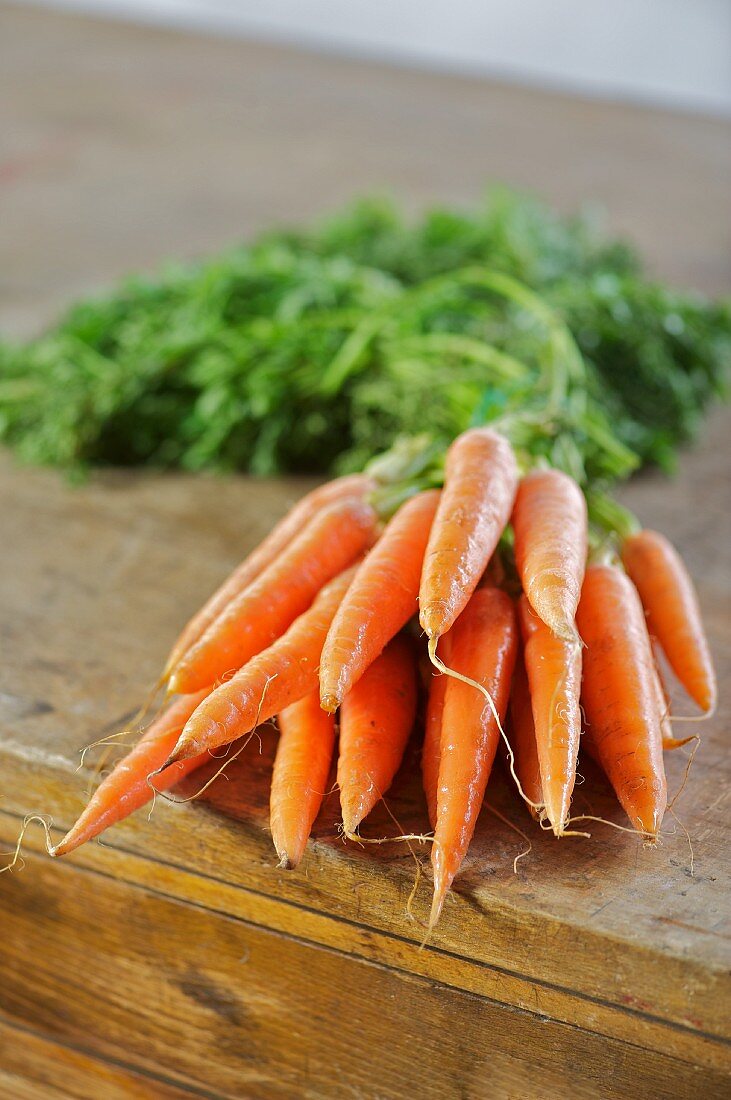 A bunch of fresh carrots