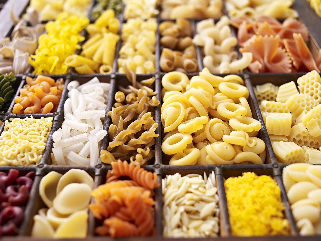 A seedling tray filled with various types of pasta