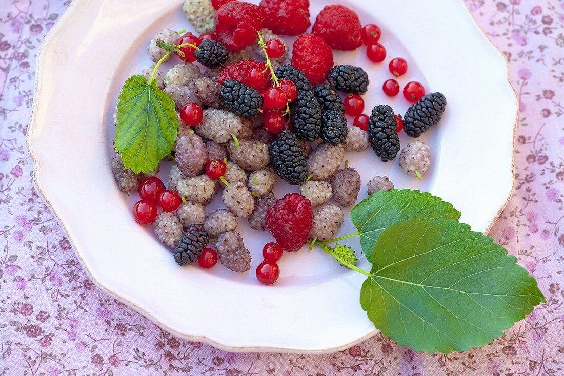 Verschiedene frische Beeren auf Teller