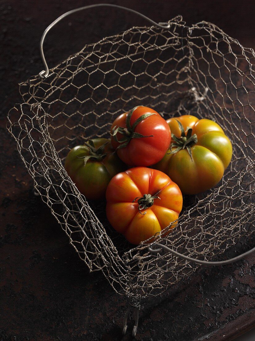 Tomaten der Sorte 'Costalluta' im Drahtkorb