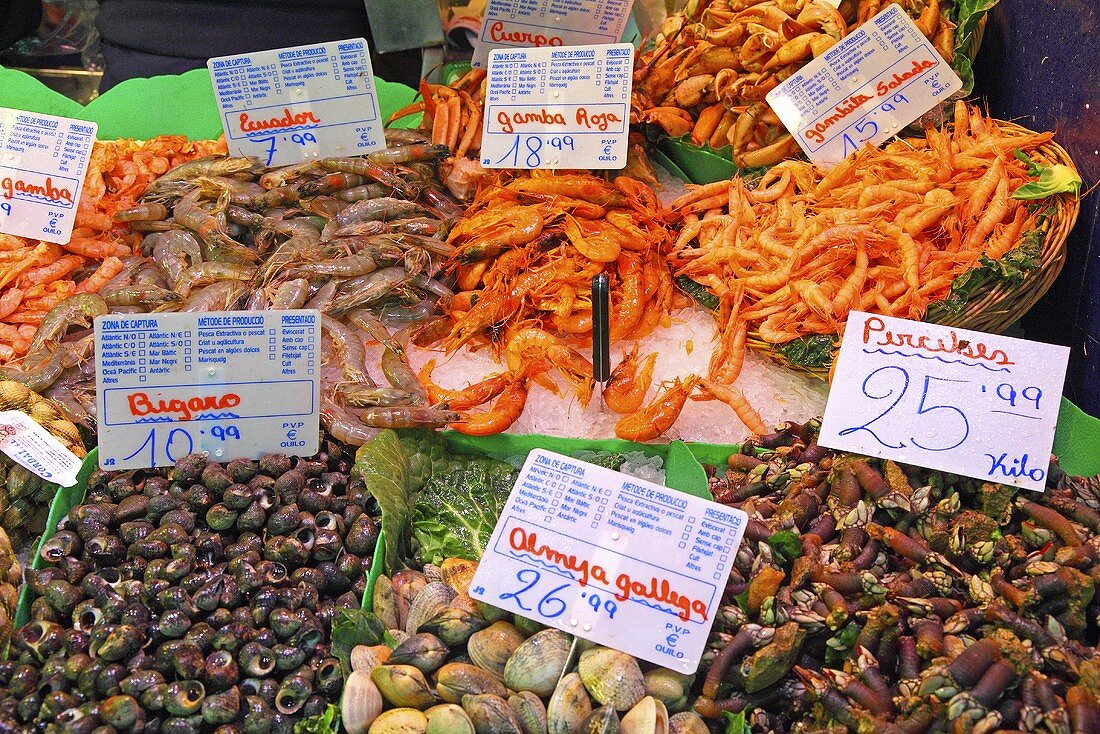 Muscheln und Gambas am Markt (Mercat de St. Josep (Boqueria), Ramblas, Barcelona, Spanien)