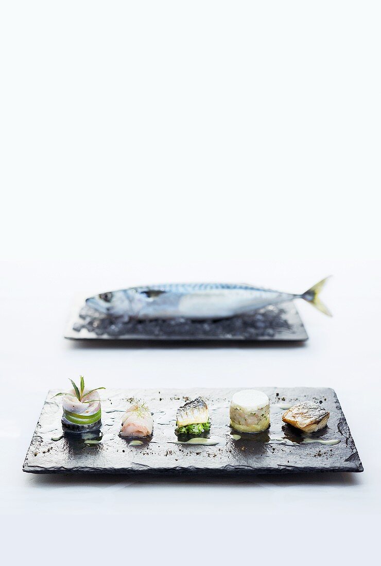 A variation on Sylt mackerel