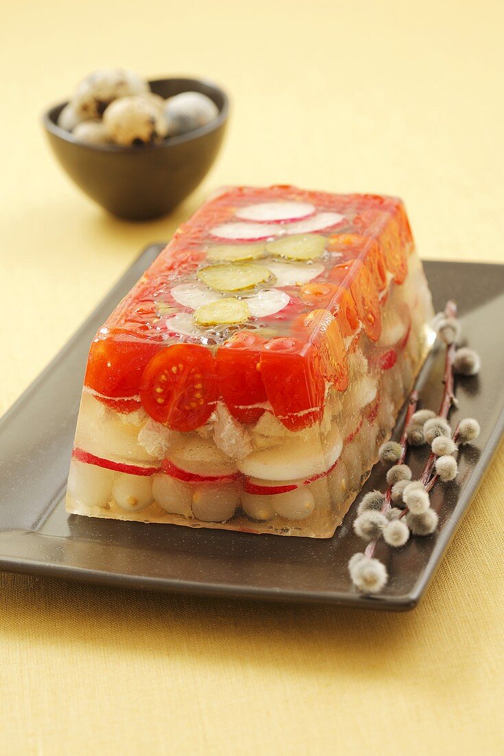 Chicken, cherry tomatoes, radishes and pearl onions in aspic