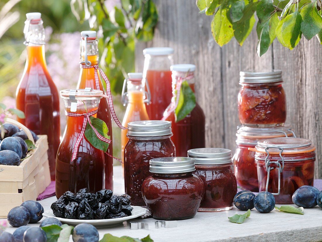 Prunes, plum puree, plum juice and bottled plums