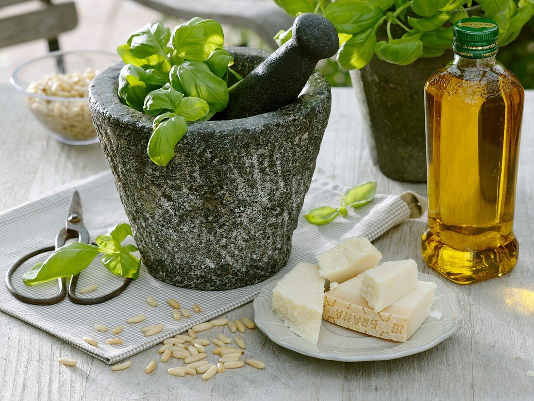 Pestozutaten: Basilikum, Pinienkerne, Parmesan und Olivenöl
