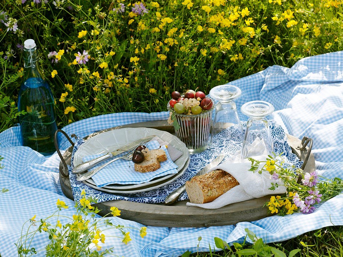 Picknick in der Blumenwiese mit Brot, Früchten, Wasserflasche