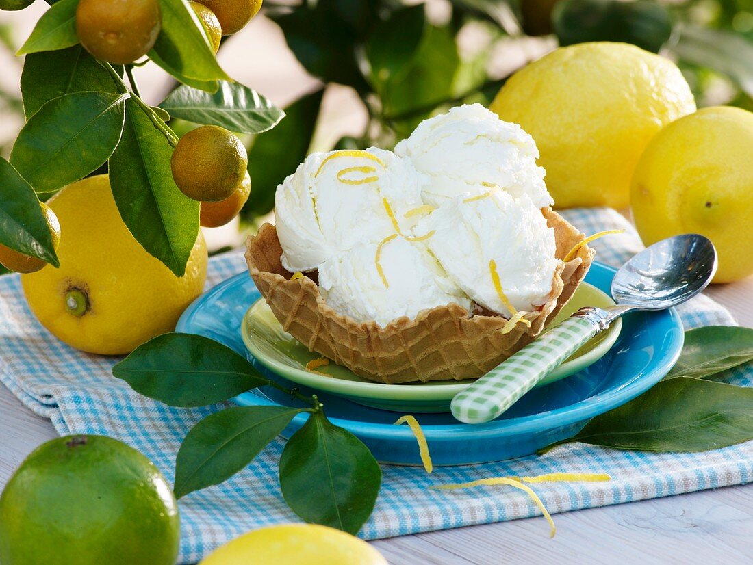 Lemon ice cream with lemon zest in wafer bowl
