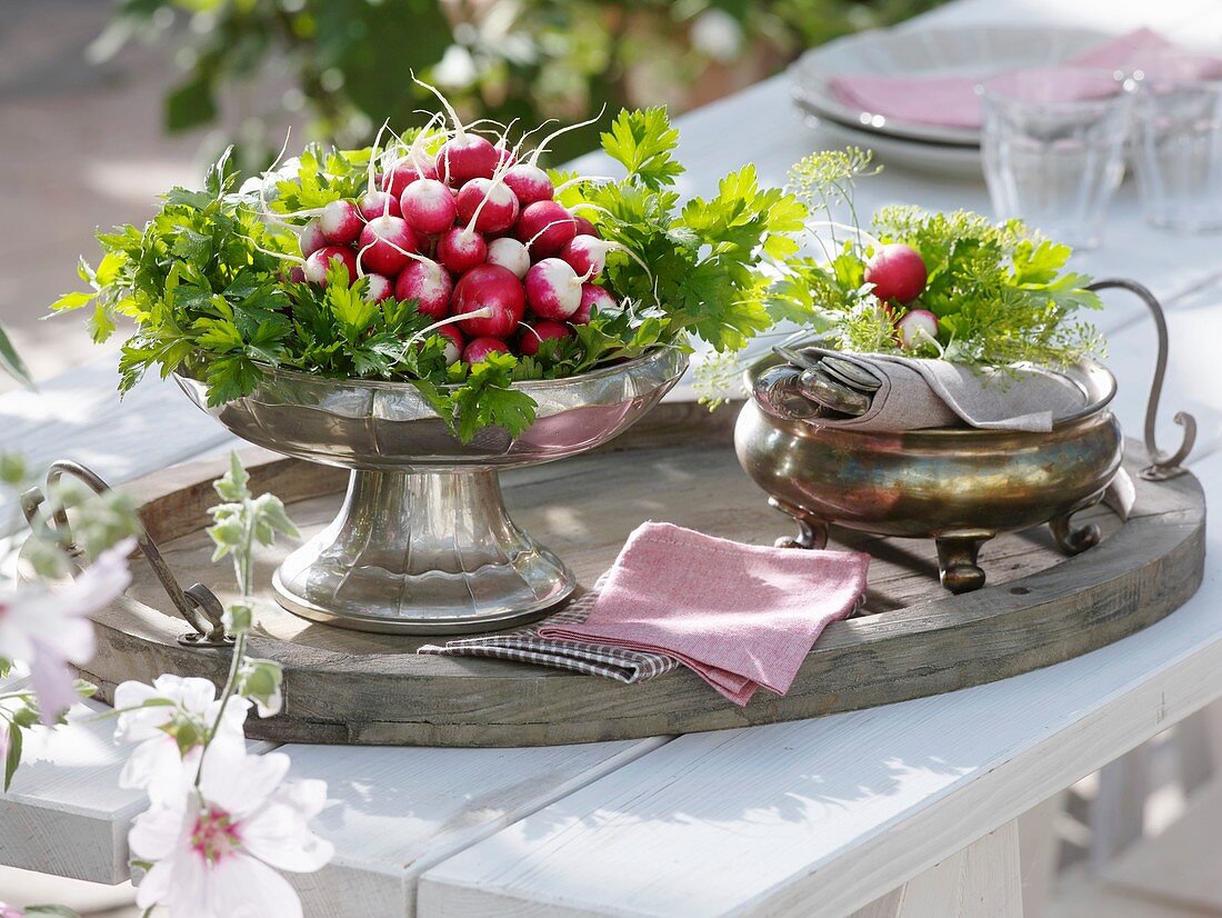 Radishes and parsley in silver dishes