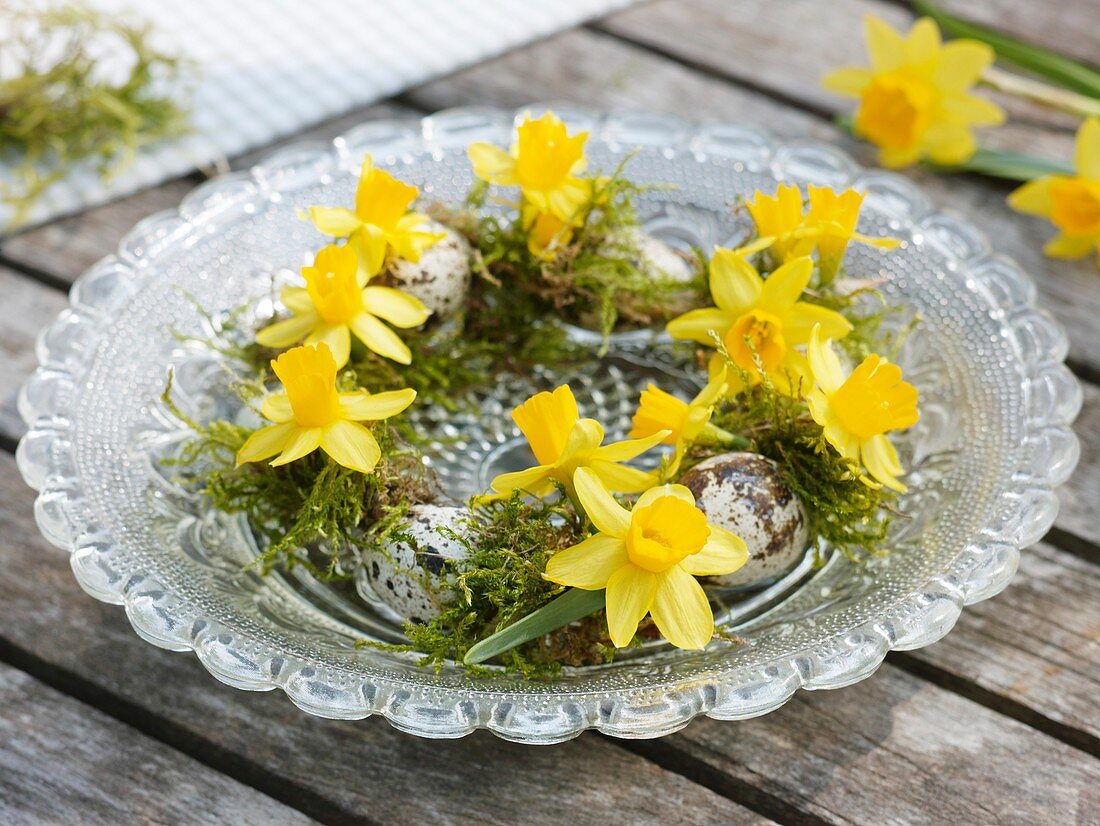 Small wreath of narcissi, moss and quails' eggs on plate