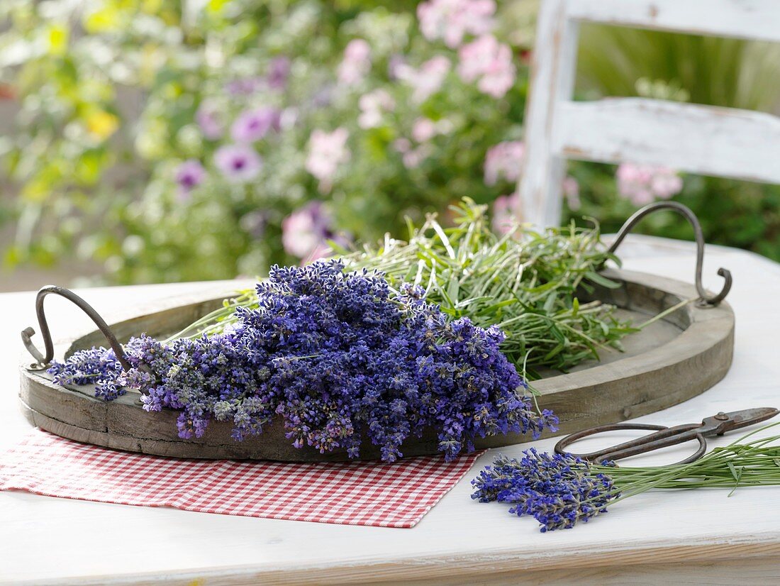 Frischer Lavendel auf Holztablett