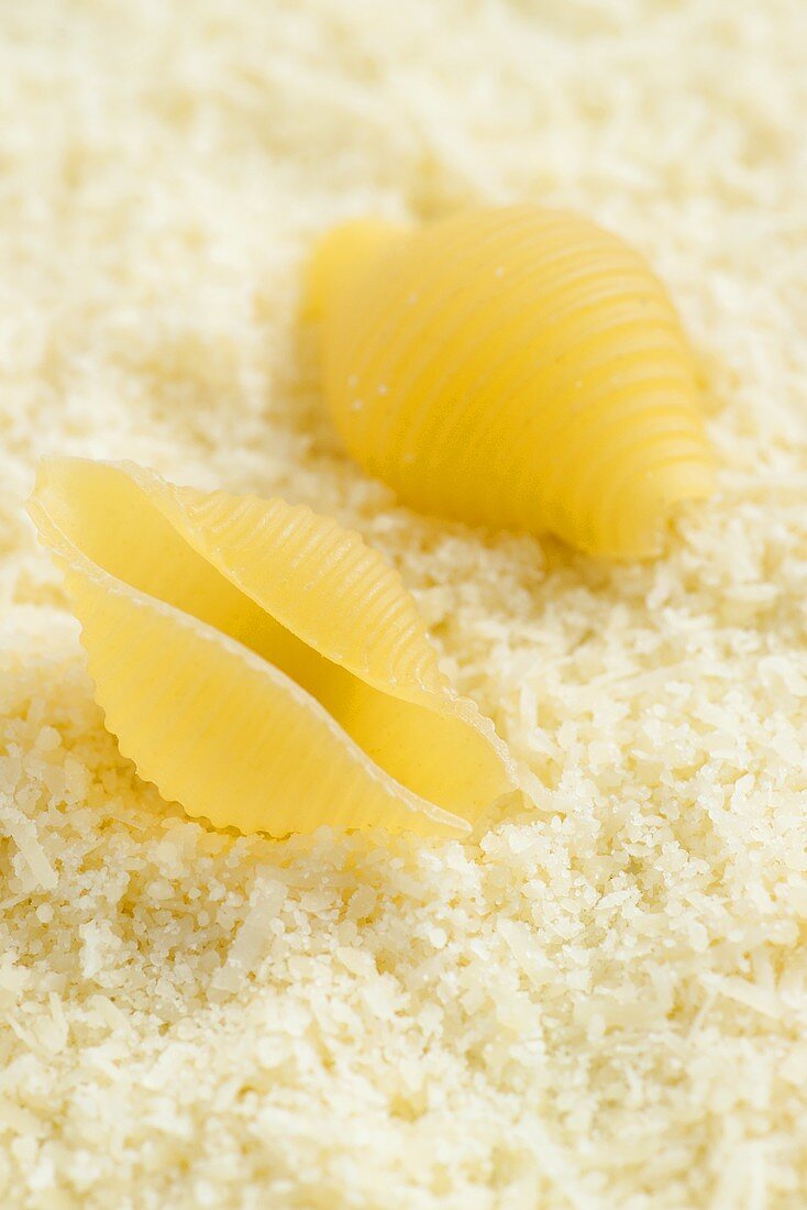Two pasta shells on bed of Parmesan