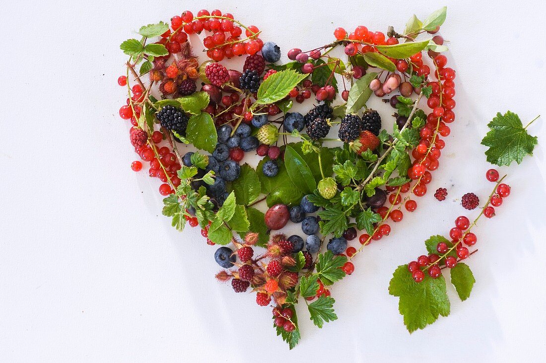 Assorted berries and leaves forming a heart
