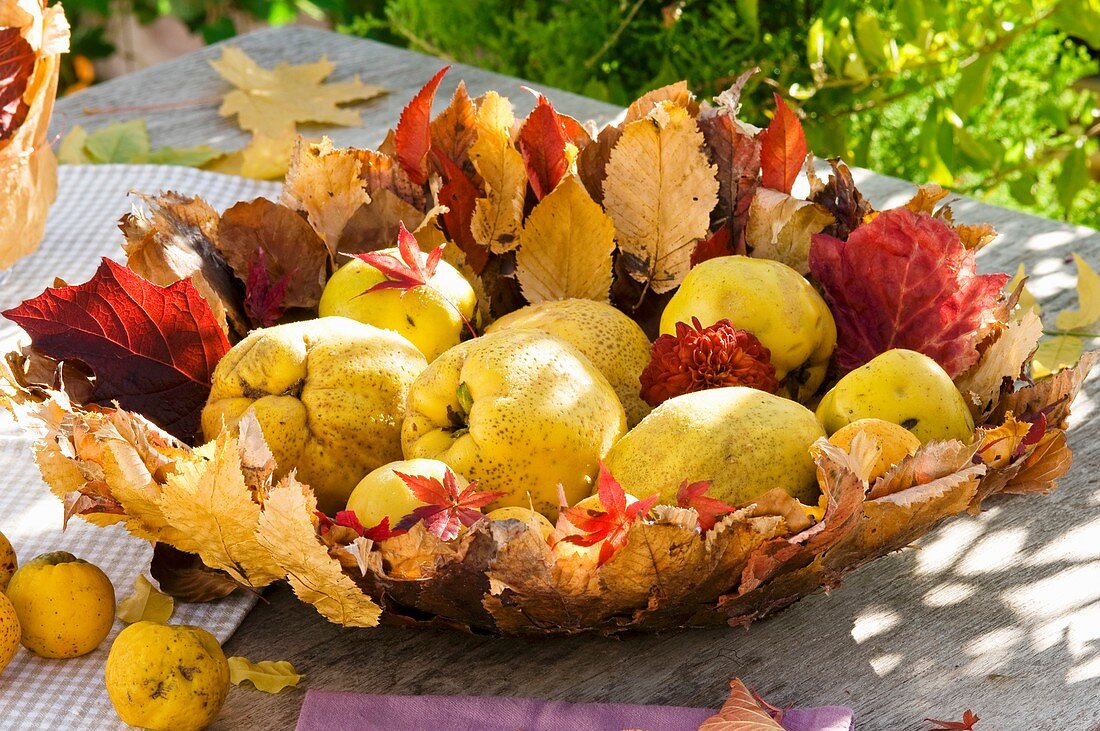 Quitten in selbstgemachter herbstlicher Blätterschale