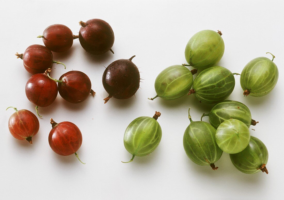 Rote & grüne Stachelbeeren