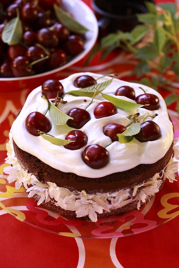 Cherry gateau