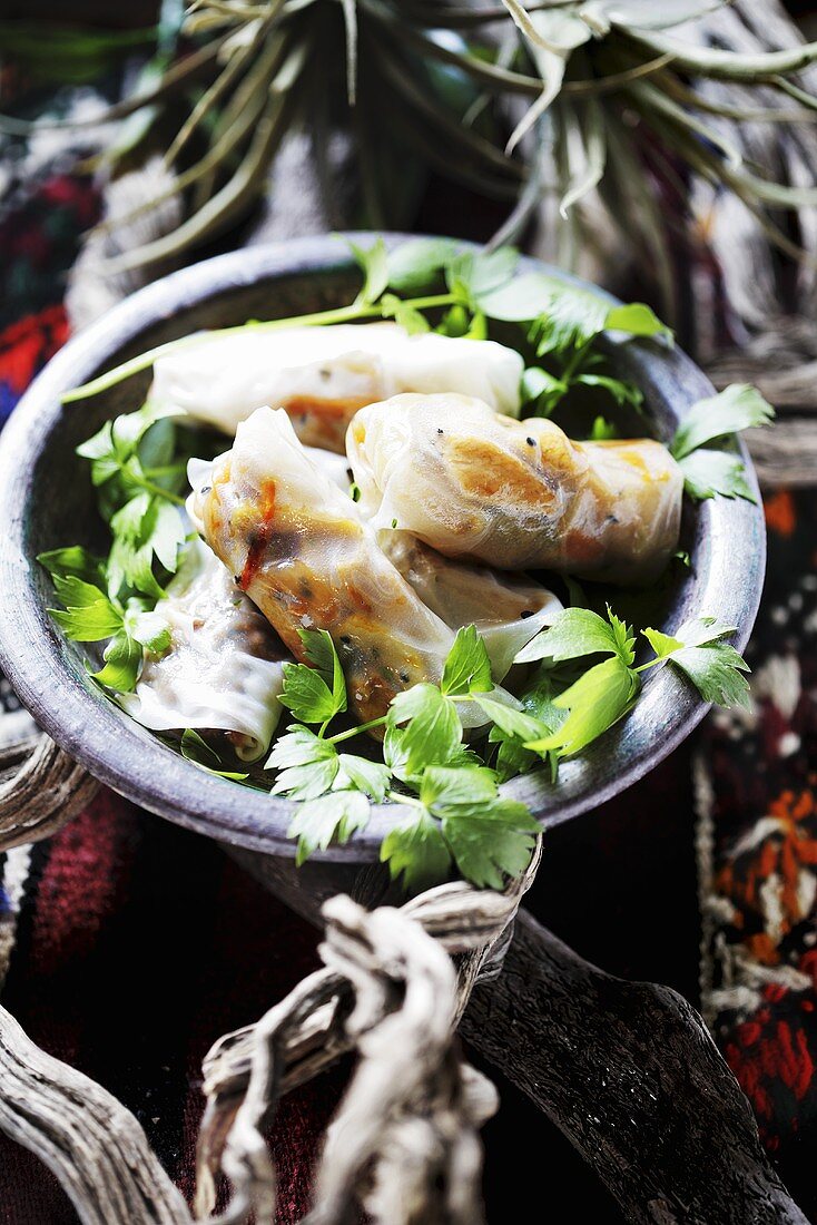Spring rolls with vegetable filling and coriander