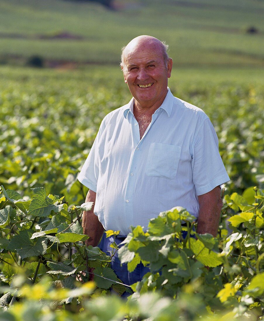 Henri Jayer, Echézeaux Weinberg, Vosne-Romanée, Côte d'Or, Frankreich (Côte de Nuits)