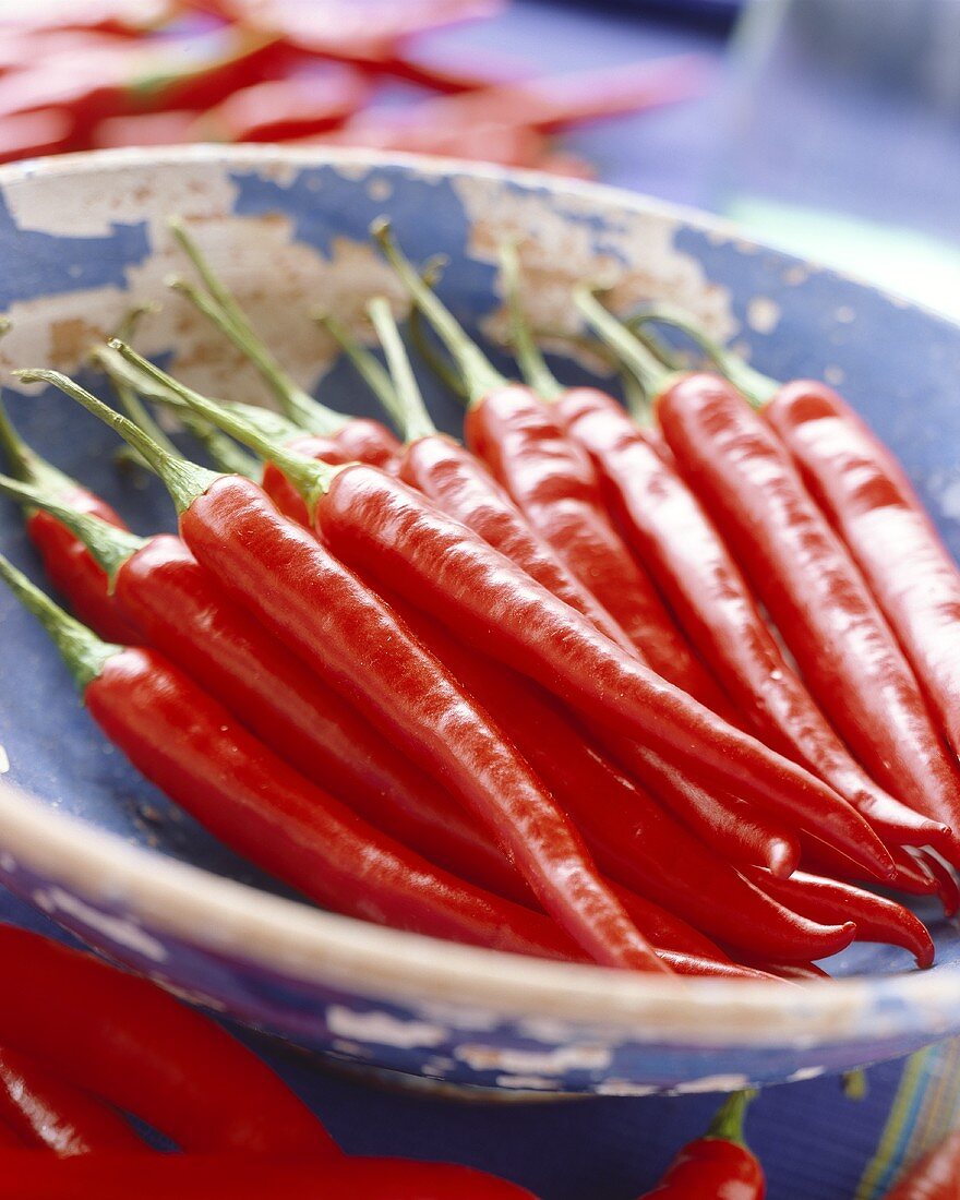 Fresh chillies in dish