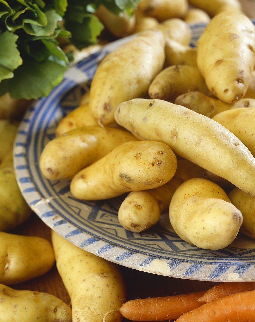 Kartoffeln der Sorte 'La Ratte de Touquet'