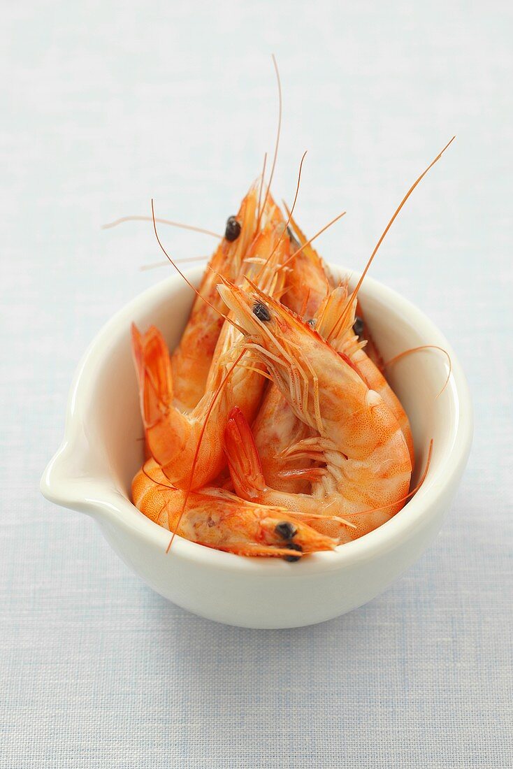 Cooked prawns in a porcelain bowl