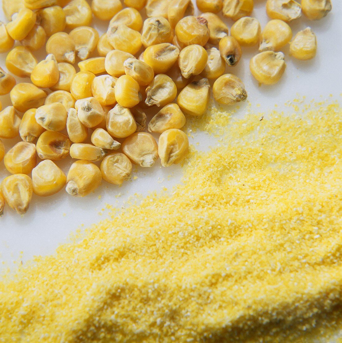 Corn Kernels & Corn meal