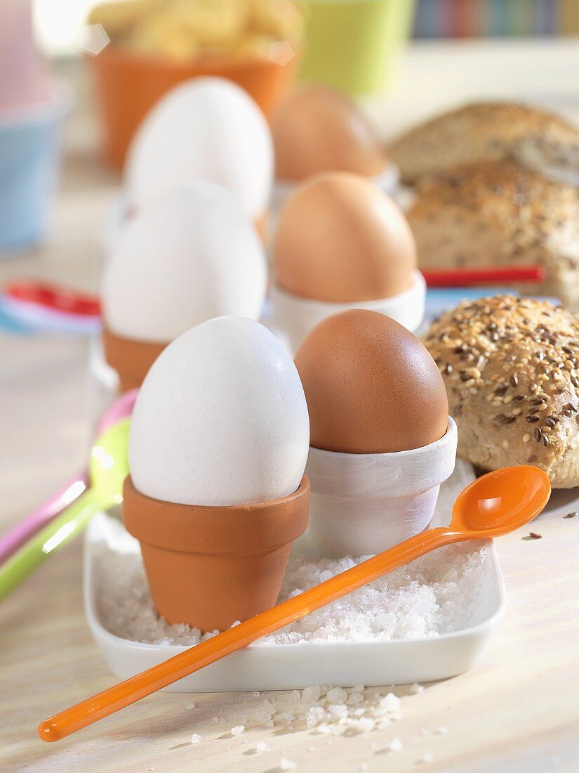 Boiled eggs in flowerpots