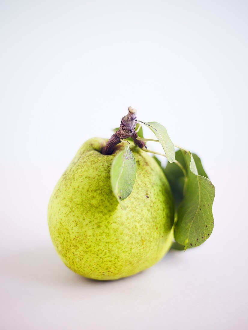 Green pear with stalk and leaves