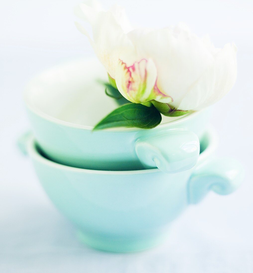 Peony in stacked bowls