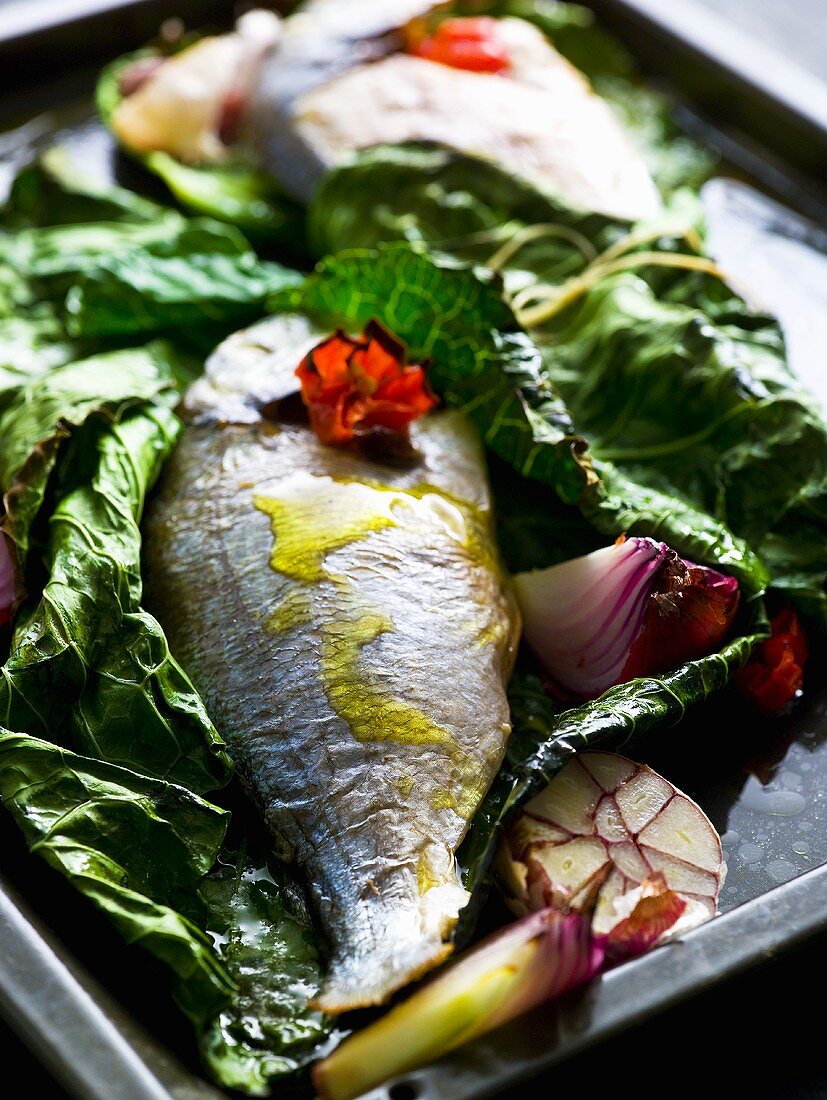 Sea bass wrapped in savoy cabbage on baking tray