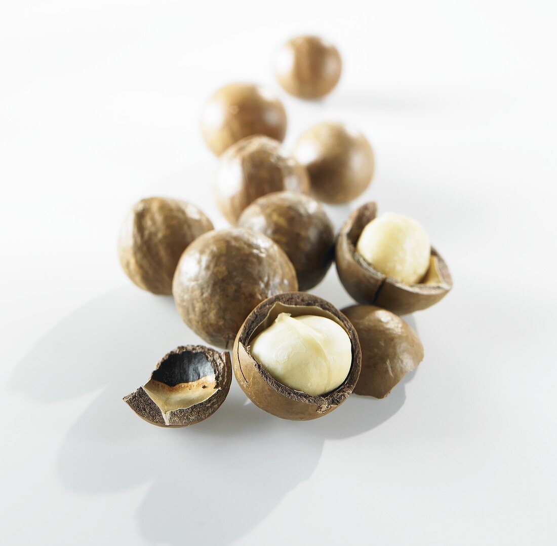 Macadamia nuts, shelled and unshelled