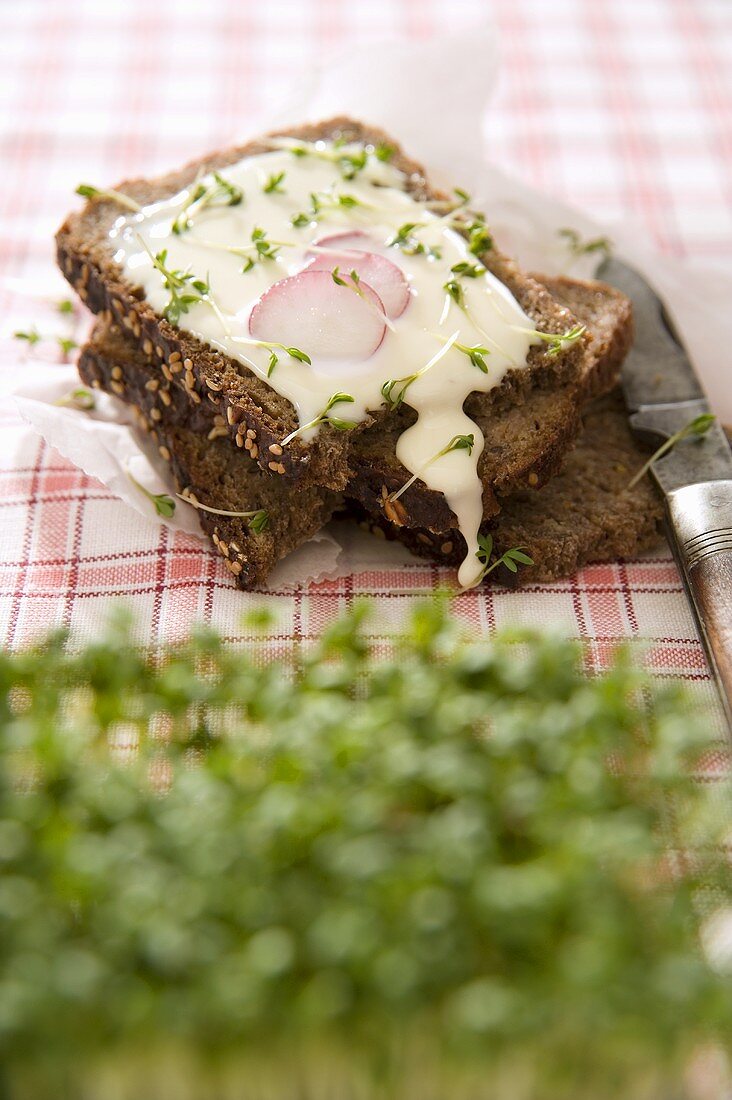 Soft cheese, cress and radishes on whole grain bread