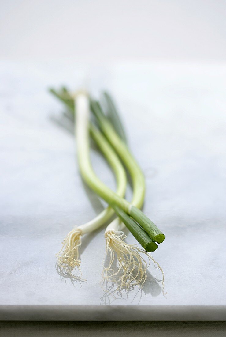 Spring onions