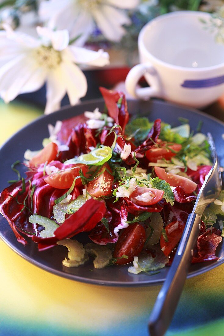 Radicchiosalat mit Staudensellerie und Tomaten