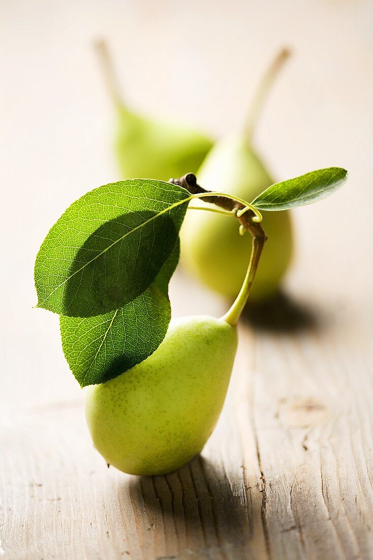 Pear with leaves
