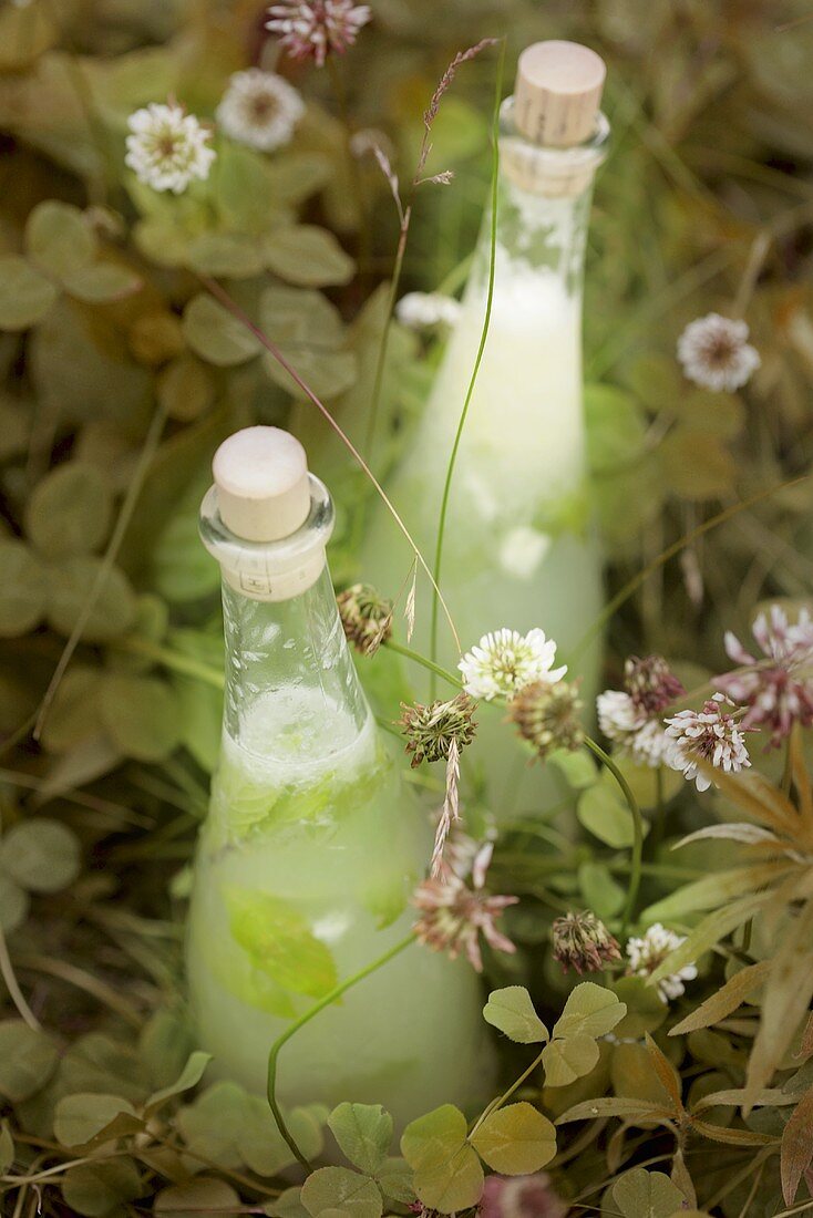 Selbstgemachte Zitronen-Minze-Limonaden in Flaschen