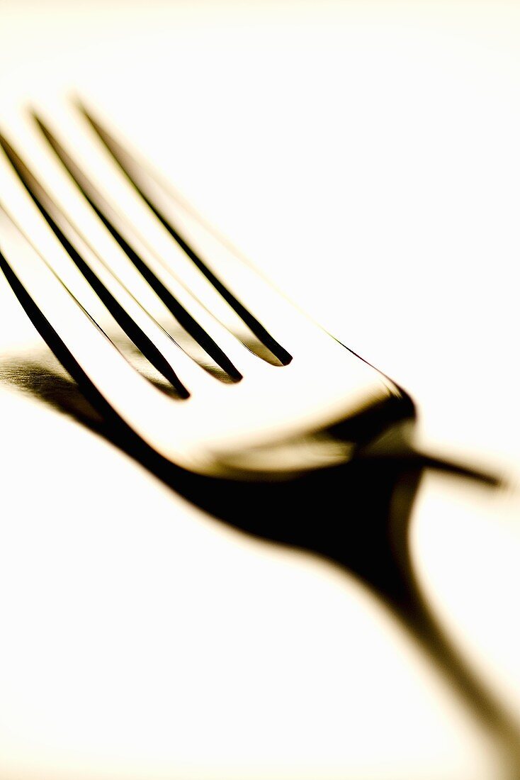 Fork with shadow (close-up)