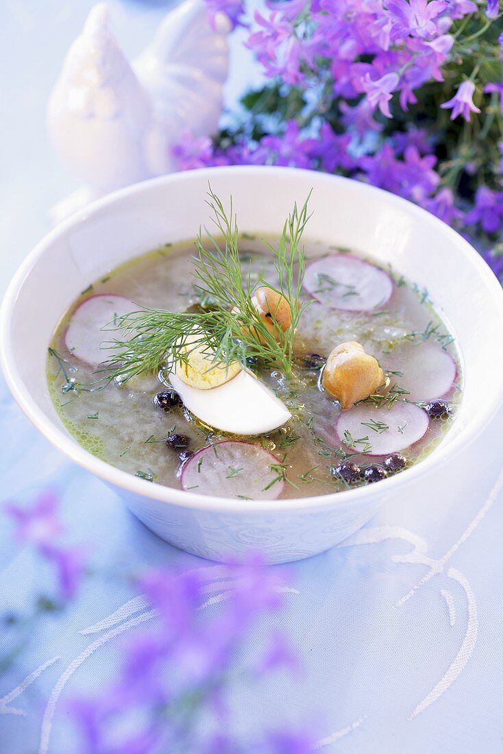 Cucumber soup with radishes, dill and egg