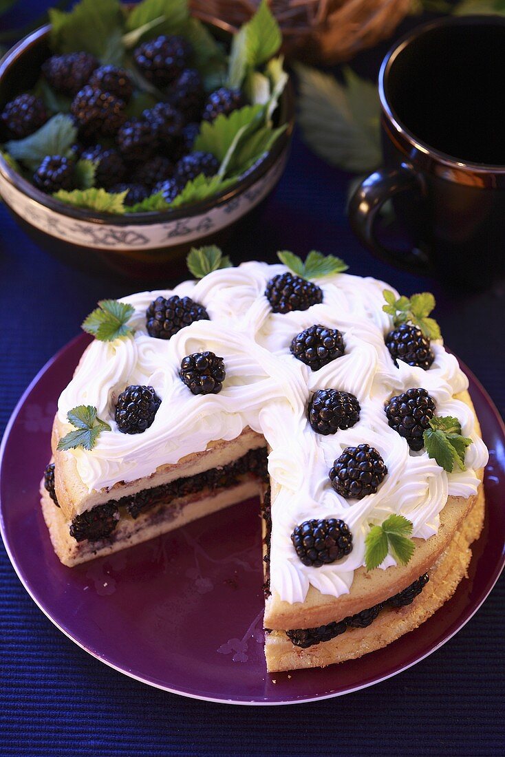 Sponge cake with blackberries