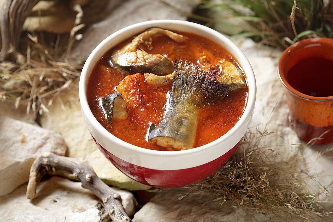 Fischsuppe mit Tomaten