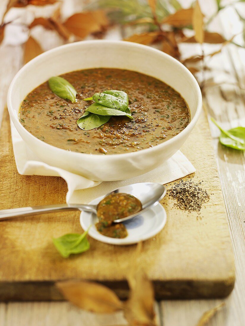 Spicy spinach and lentil soup