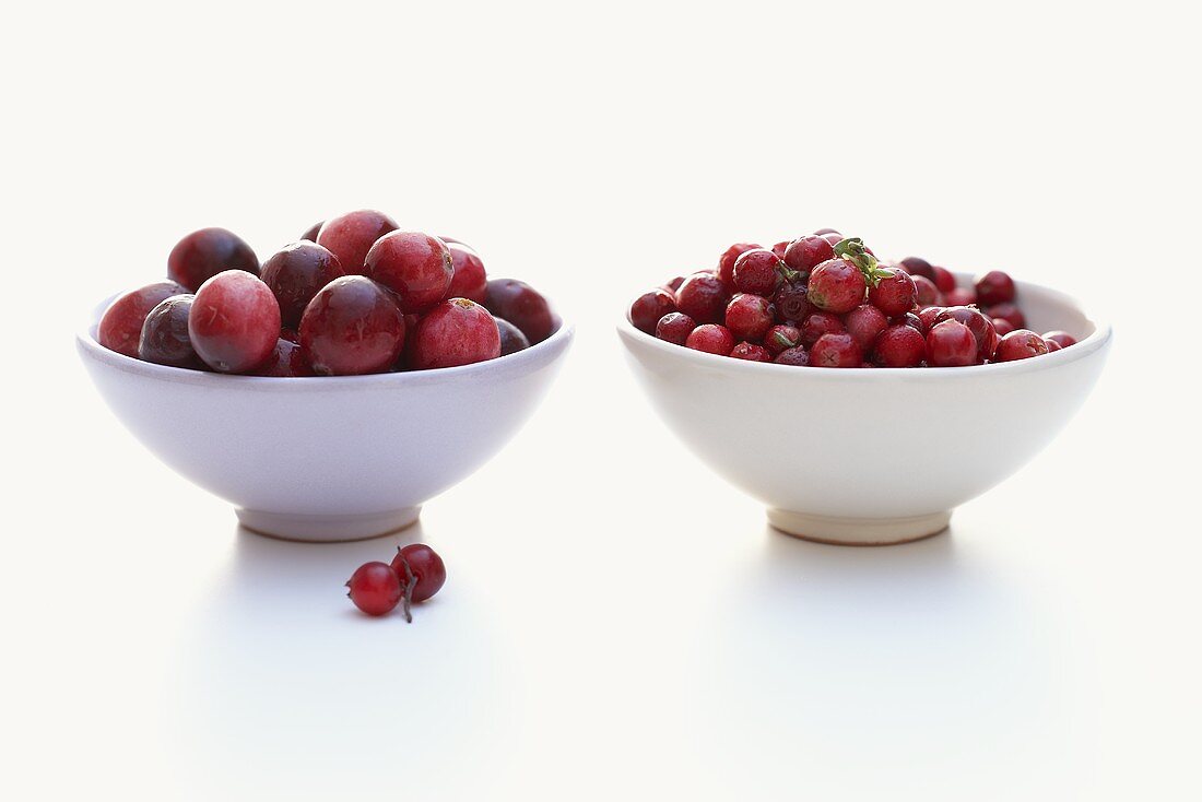 European and American cranberries in bowls
